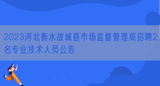 2023河北衡水故城县市场监督管理局招聘2名专业技术人员公告