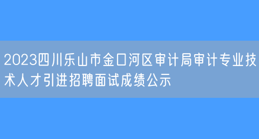 2023四川乐山市金口河区审计局审计专业技术人才引进招聘面试